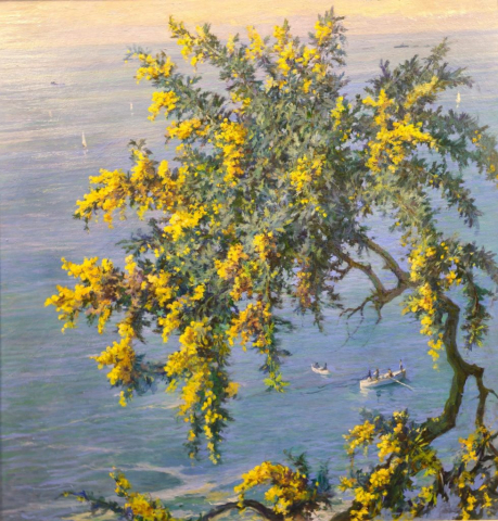 Antonio Discovolo mimosa | Art Recup